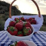 A basket full of strawberries